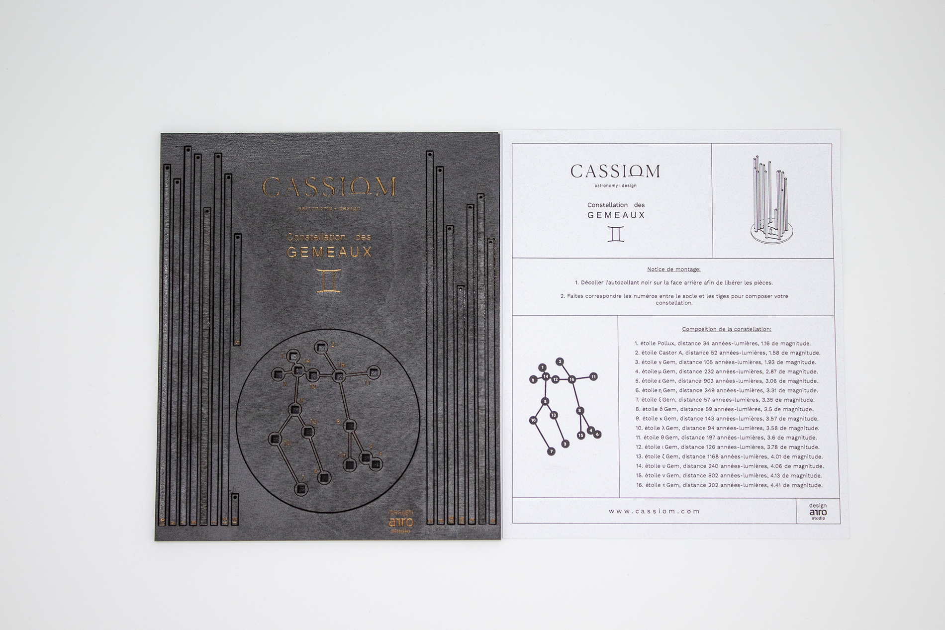 DATA STRUCTURE CASSIOM, sculpture inspirée par les constellations du zodiaque par Ludovic Roth